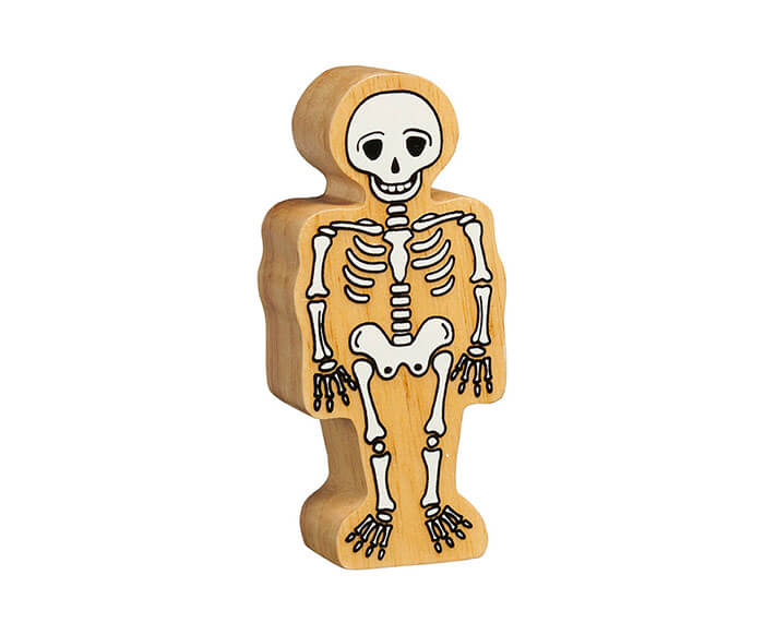 NC604 Skeleton - Wood Bee Nice - Children's Wooden Toys | Eco-Friendly Toys