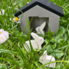 Little Garden Designer - Image 6