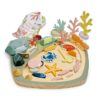 My Little Rock Pool